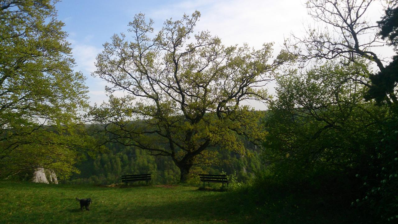 Berghaus Knopfmacher Fridingen an der Donau ภายนอก รูปภาพ