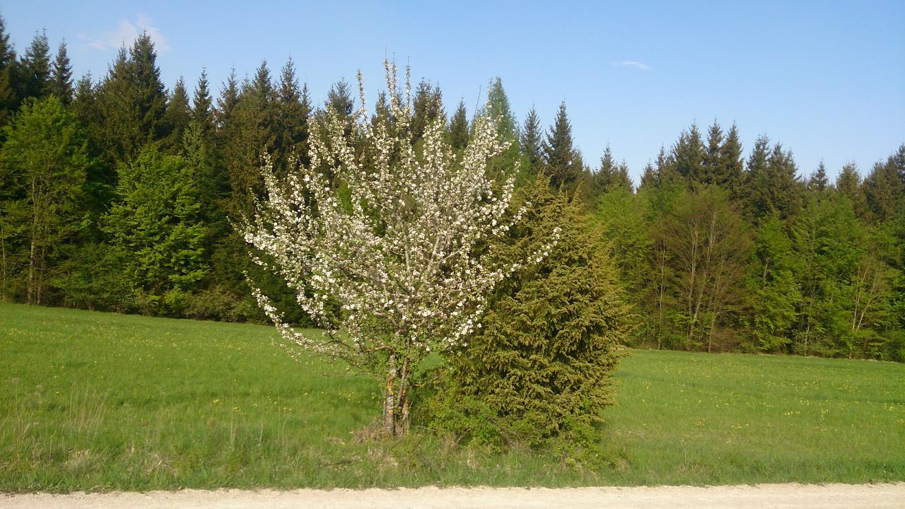 Berghaus Knopfmacher Fridingen an der Donau ภายนอก รูปภาพ