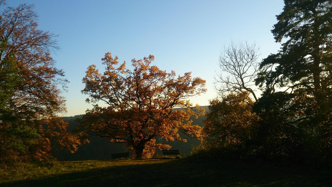 Berghaus Knopfmacher Fridingen an der Donau ภายนอก รูปภาพ