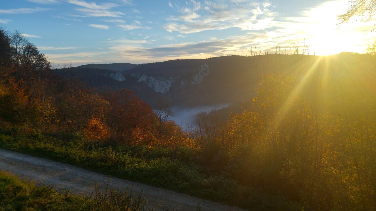 Berghaus Knopfmacher Fridingen an der Donau ภายนอก รูปภาพ